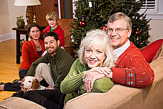 老年,夫妻,家庭,圣诞树