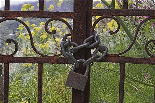 大门,锁,链子,花园,利帕里,岛屿,意大利