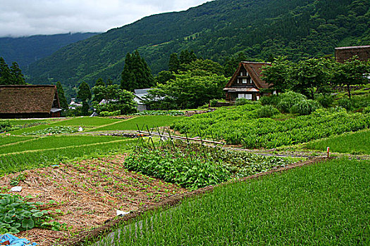 富山