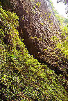 武隆龙水峡地缝峡谷岩壁