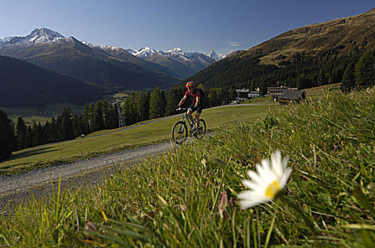 男人,山地车运动,达沃斯,瑞士