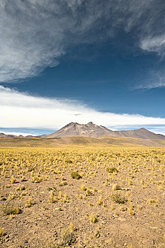 高原,国家级保护区,阿塔卡马沙漠,安托法加斯塔大区,智利
