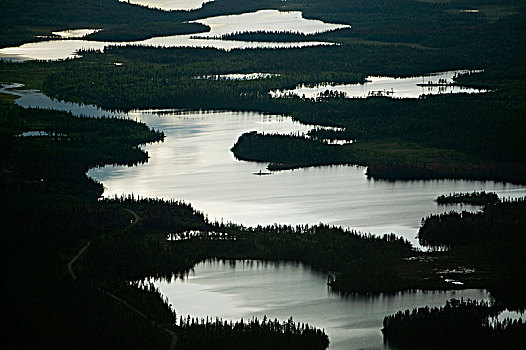 湖,林地,瑞典
