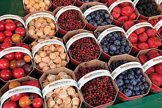 水果,展示,市场,蒙特利尔,魁北克,加拿大