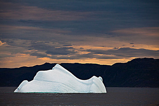 冰山,峡湾,拉布拉多犬,加拿大