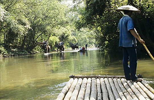 泰国,男人,漂浮,河,竹子,筏子,人,大象,远景
