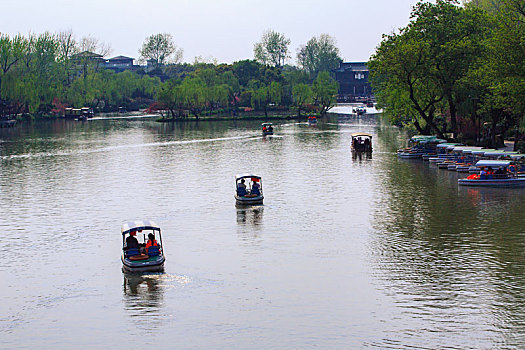 游船,游客,船,水面,柳条,垂柳