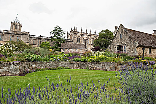 石墙,分隔,建筑,草,花,牛津,英格兰