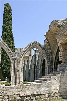 拱,博拉帕斯修道院,凯里尼亚,北方,塞浦路斯,欧洲