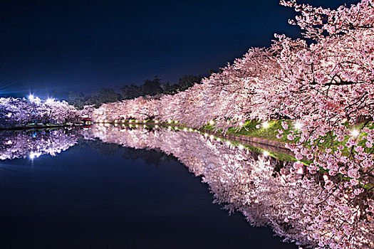 樱桃树,西部,护城河,公园