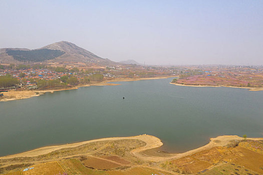 山东蒙阴乡村桃花