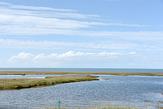 青海湖