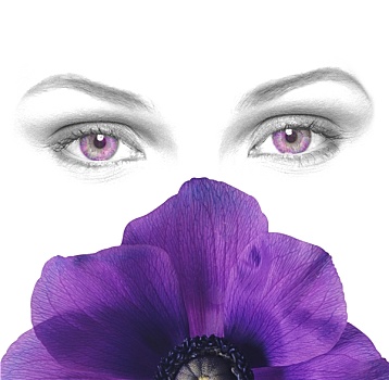 紫色,眼睛