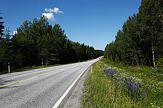 芬兰,区域,南方,自然保护区,公路,数字