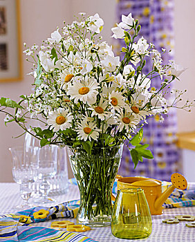 雏菊,风铃草,丝石竹属植物,玻璃花瓶