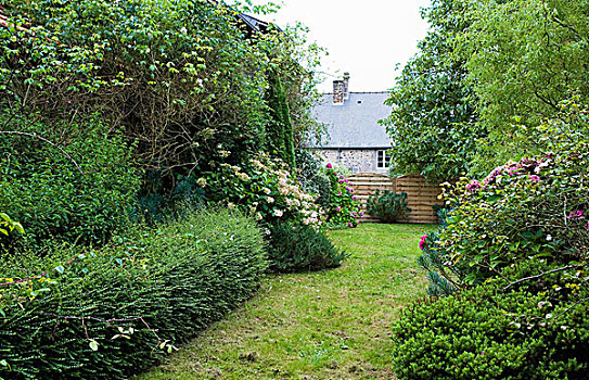 花园,小路,布列塔尼半岛,法国