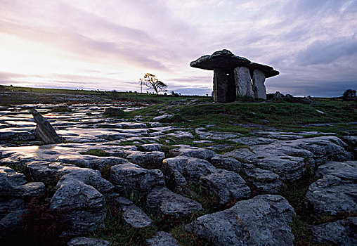 爱尔兰,新石器时代,门口,墓地