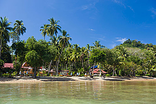 棕榈树,海滩,岛屿,泰国,东南亚,亚洲