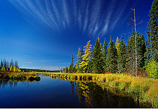 秋天,景色,赖丁山国家公园,曼尼托巴,加拿大