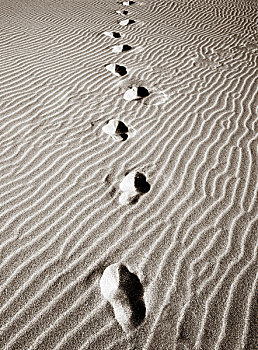 脚印,沙子,波纹,软,海滩