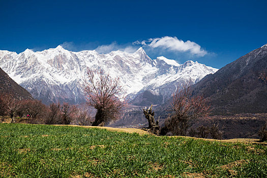 南迦巴瓦雪山