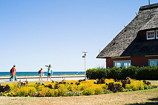 波罗的海,胜地,梅克伦堡州,茅草屋顶,房子,散步场所