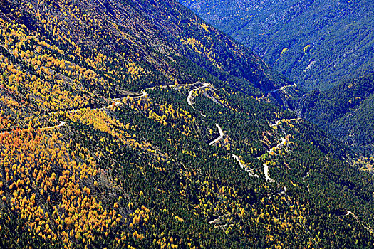 德钦秋天盘山路