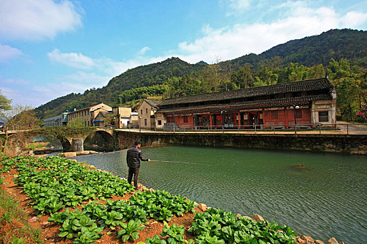 小溪,村庄,山村