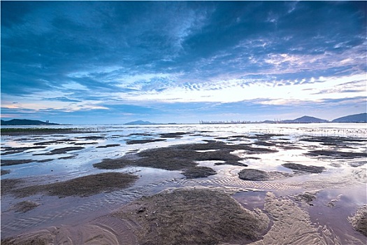 日落,海岸,香港