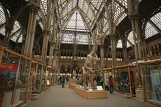 英格兰,牛津,恐龙,牛津大学,自然博物馆