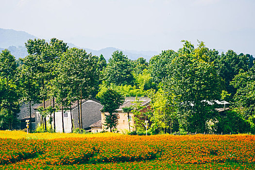 田园村居