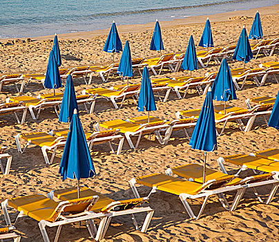 沙滩,早晨,海滩,床,伞