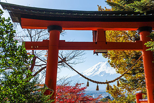 枫树,富士山,日本