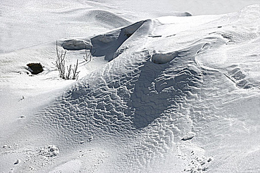 四川甘孜州泸定磨西镇海螺沟冰川四号营地雪原