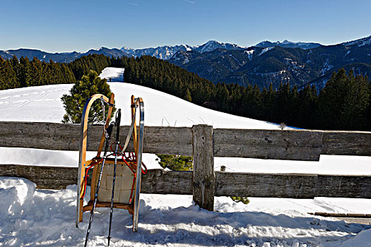 雪撬,雪橇,高山,冬天,远足,巴特维西,区域,上巴伐利亚,巴伐利亚,德国,欧洲