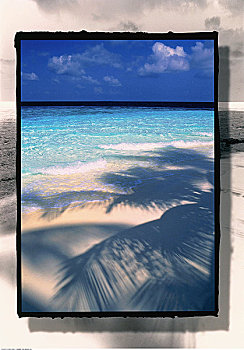 影子,棕榈树,海滩,马尔代夫,印度洋