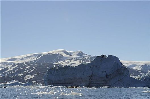 冰山,漂流者,东方,格陵兰