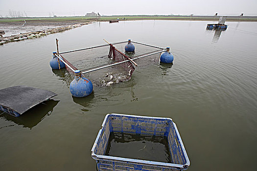 长江湿地