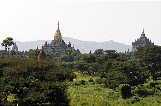 寺庙,蒲甘,异教,缅甸