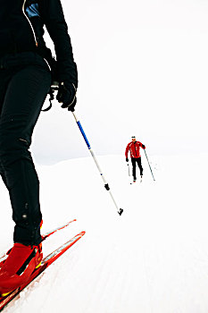 伴侣,越野滑雪,雪中