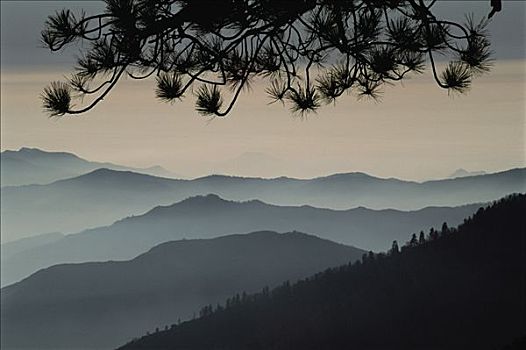 线条,剪影,薄雾,国王峡谷,国家公园,加利福尼亚