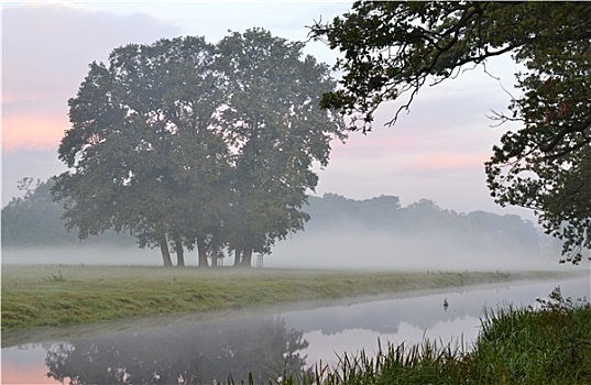 晨雾,不动产,荷兰