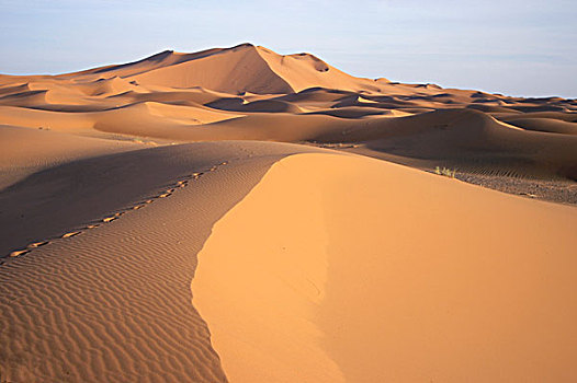 脚印,沙漠,摩洛哥,北非