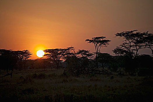 日出,非洲