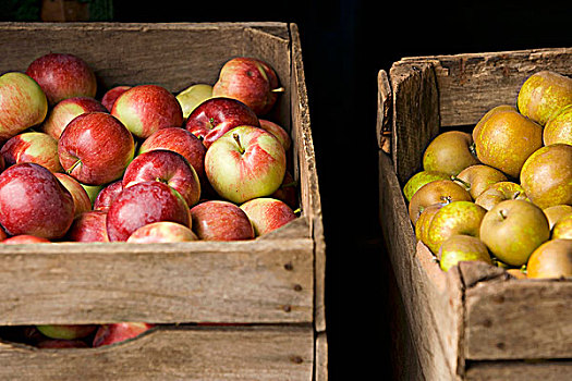 种类,新鲜,苹果,板条箱