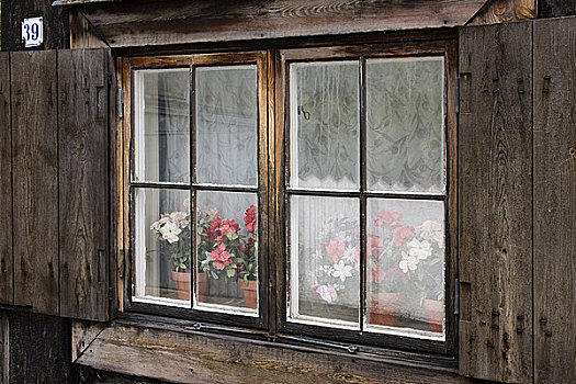 窗户,历史,木屋,维斯比,哥特兰岛,瑞典