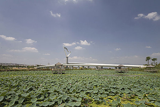 福建厦门城市风光