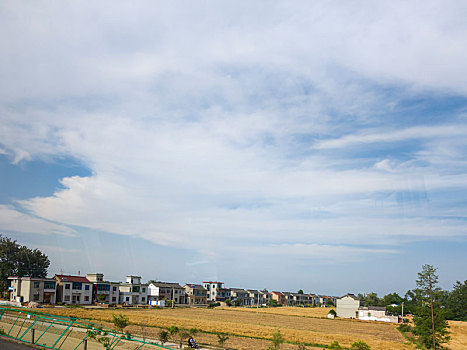 夏日苏北田园风光