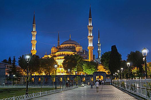 蓝色清真寺,苏丹,清真寺,伊斯坦布尔,夜晚,土耳其