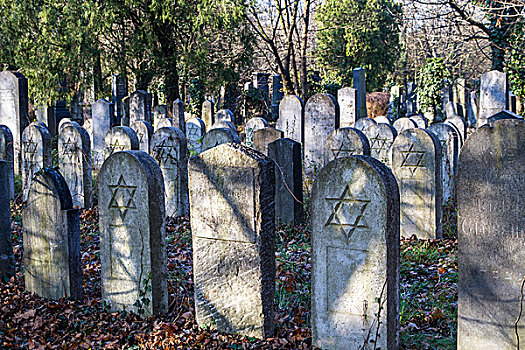 墓地,石头,大卫之星,老,犹太,维也纳,奥地利,欧洲